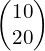 \begin{pmatrix}10\\20\end{pmatrix}